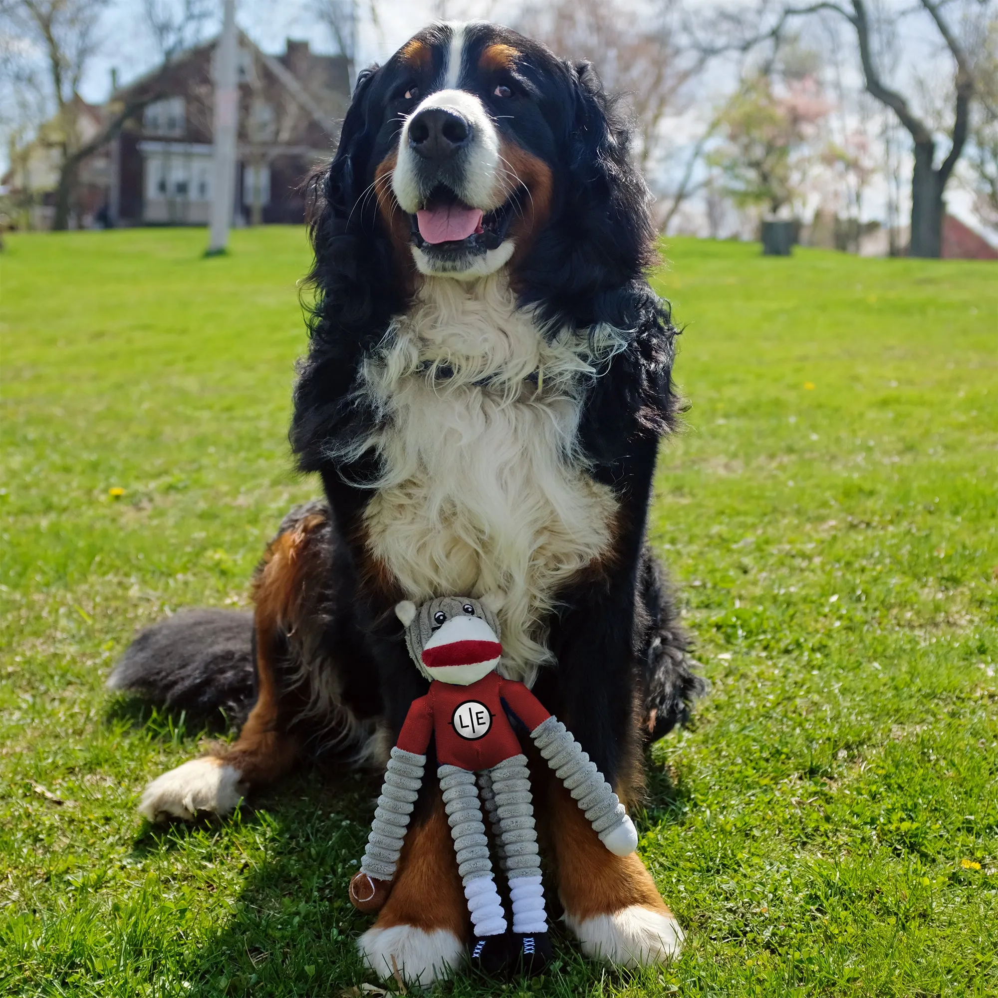 Atlanta Falcons Team Sock Monkey Pet Toy