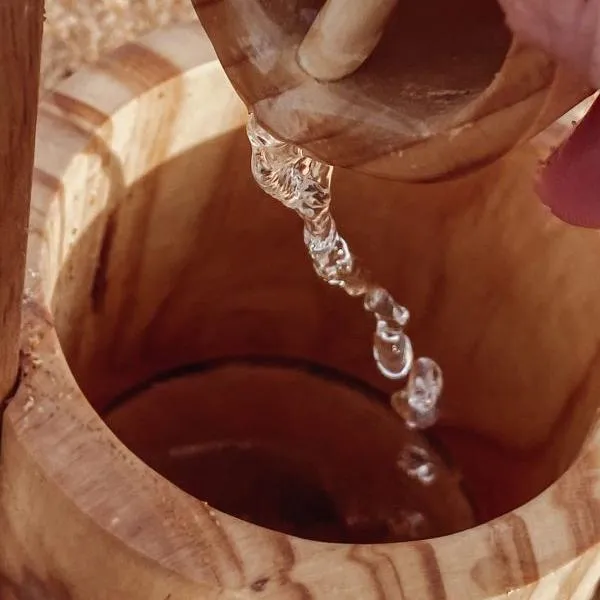 Dig Your Own Wooden Water Well