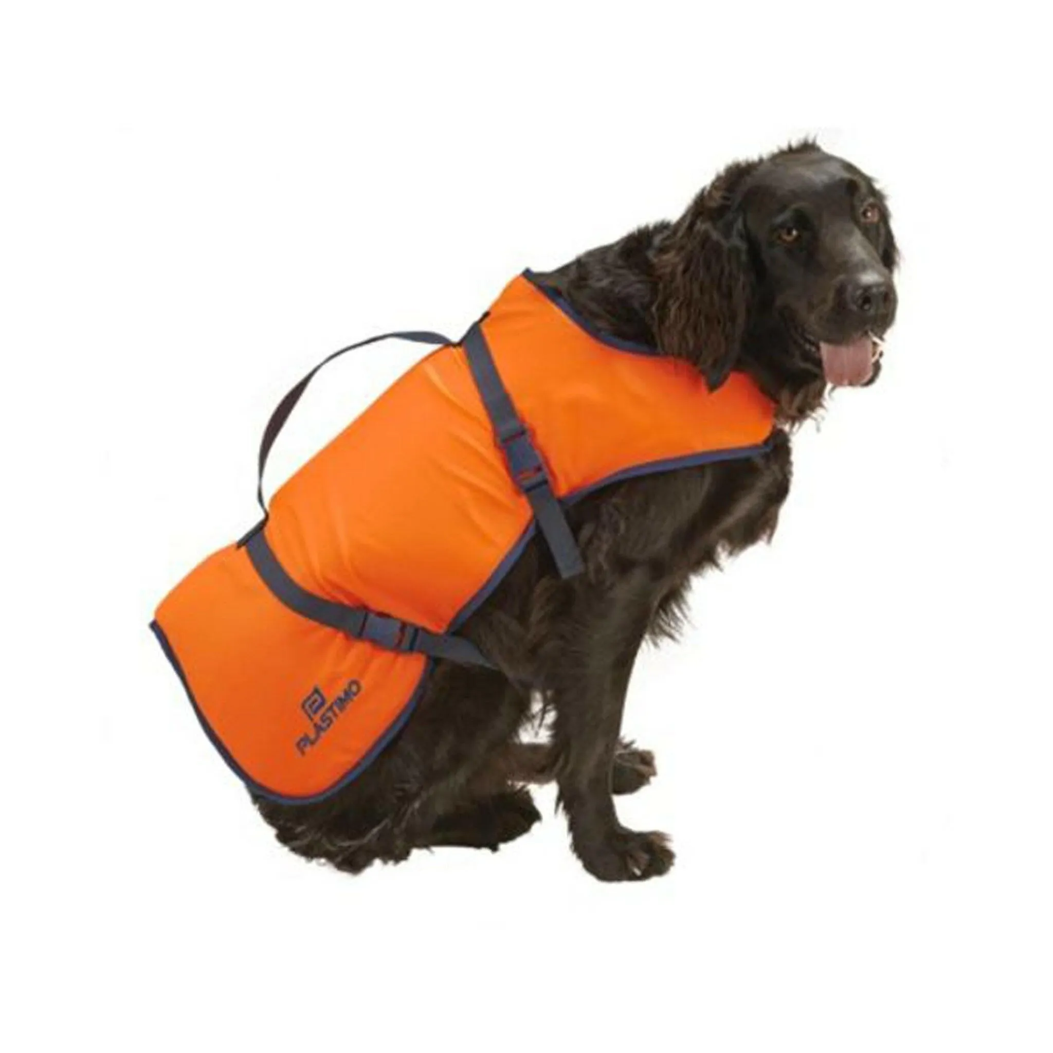 Dog Flotation Vest