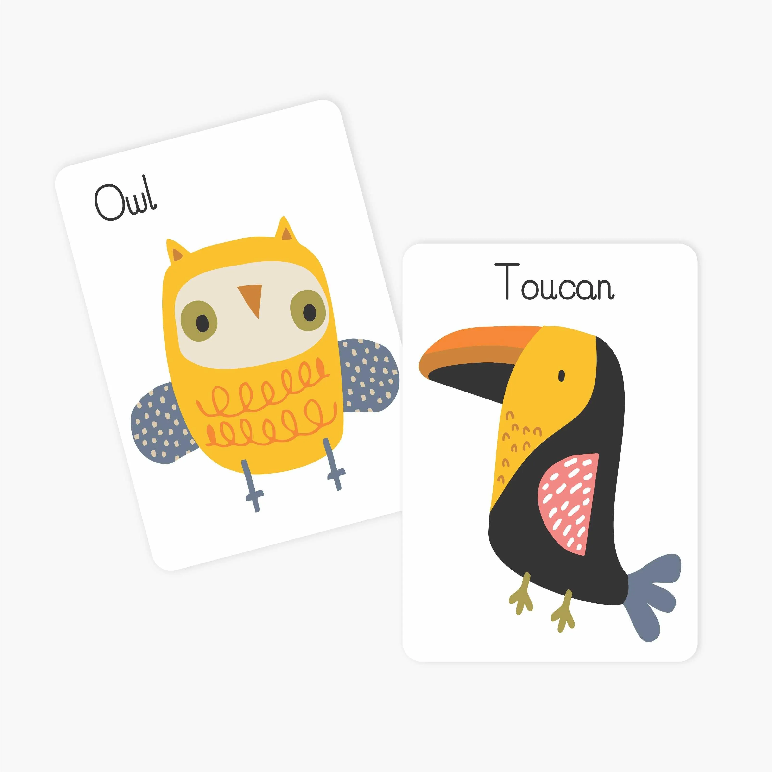 Flash Cards Animals