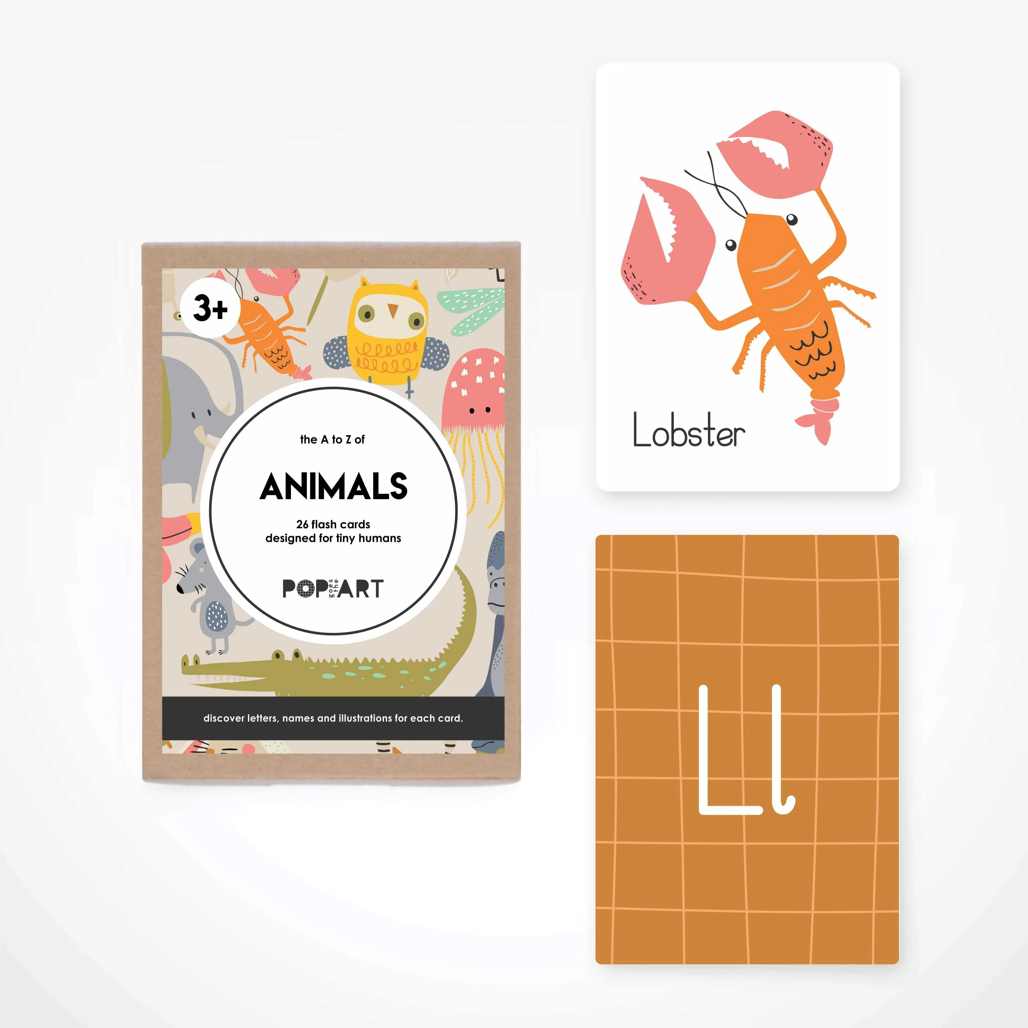 Flash Cards Animals