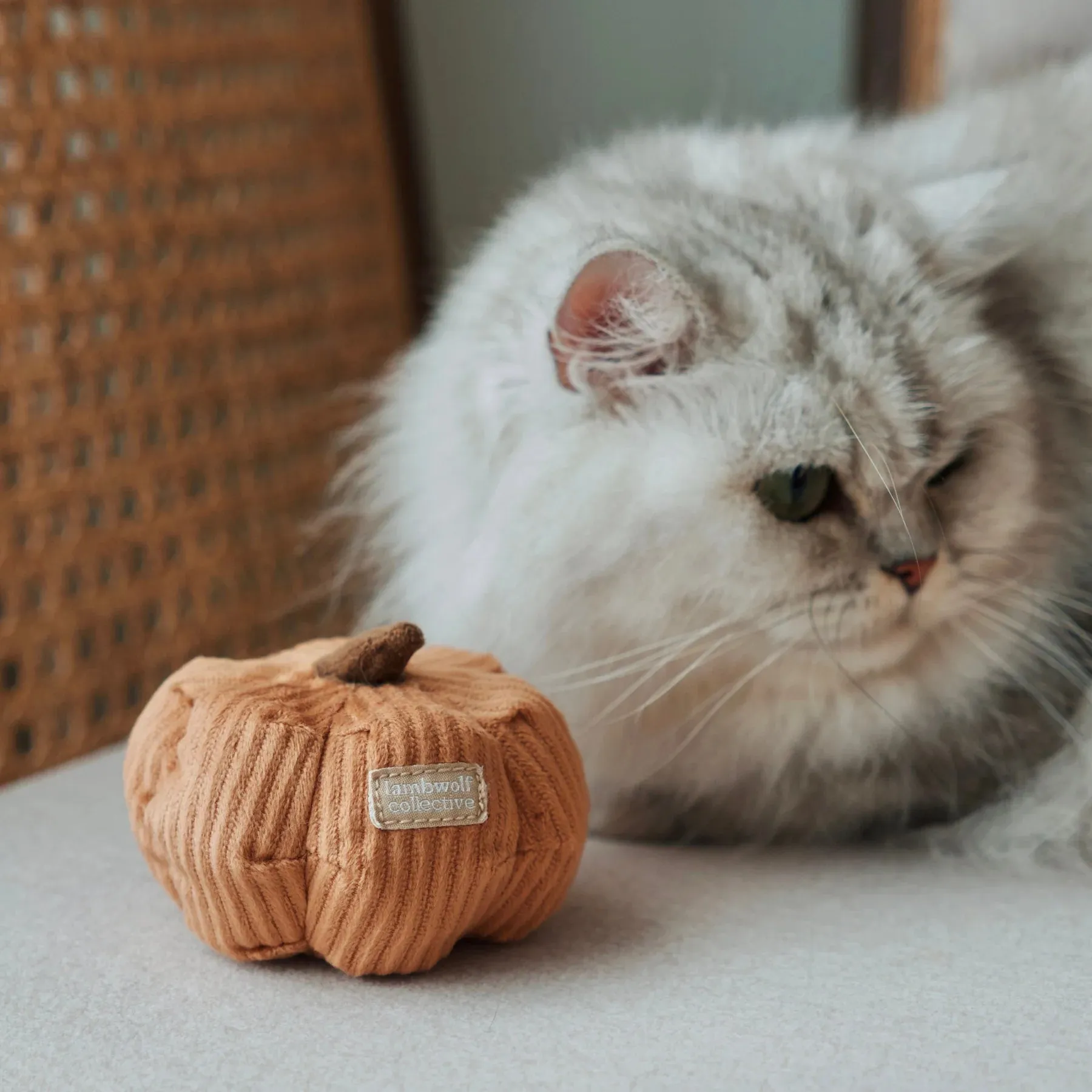 Lambwolf KITTY PUMPKIN with Tinkly