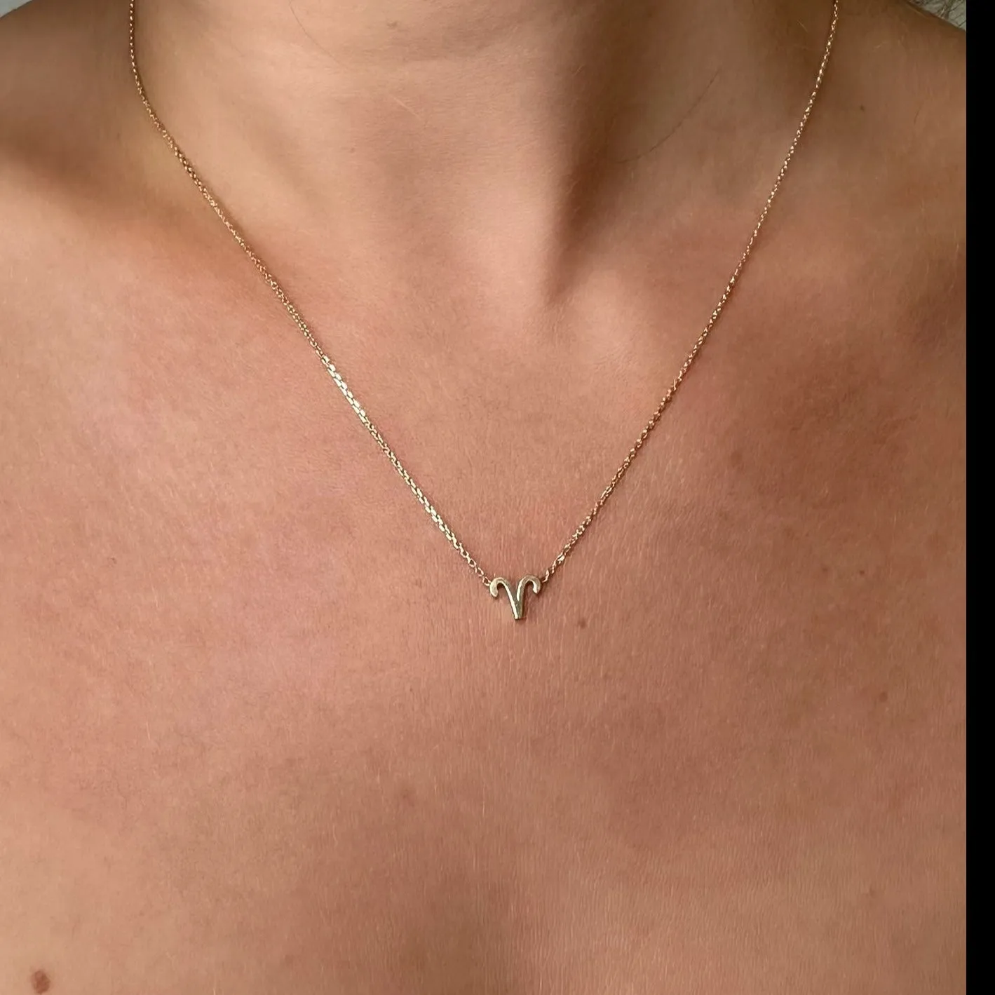 Silver Aquarius Zodiac Necklace