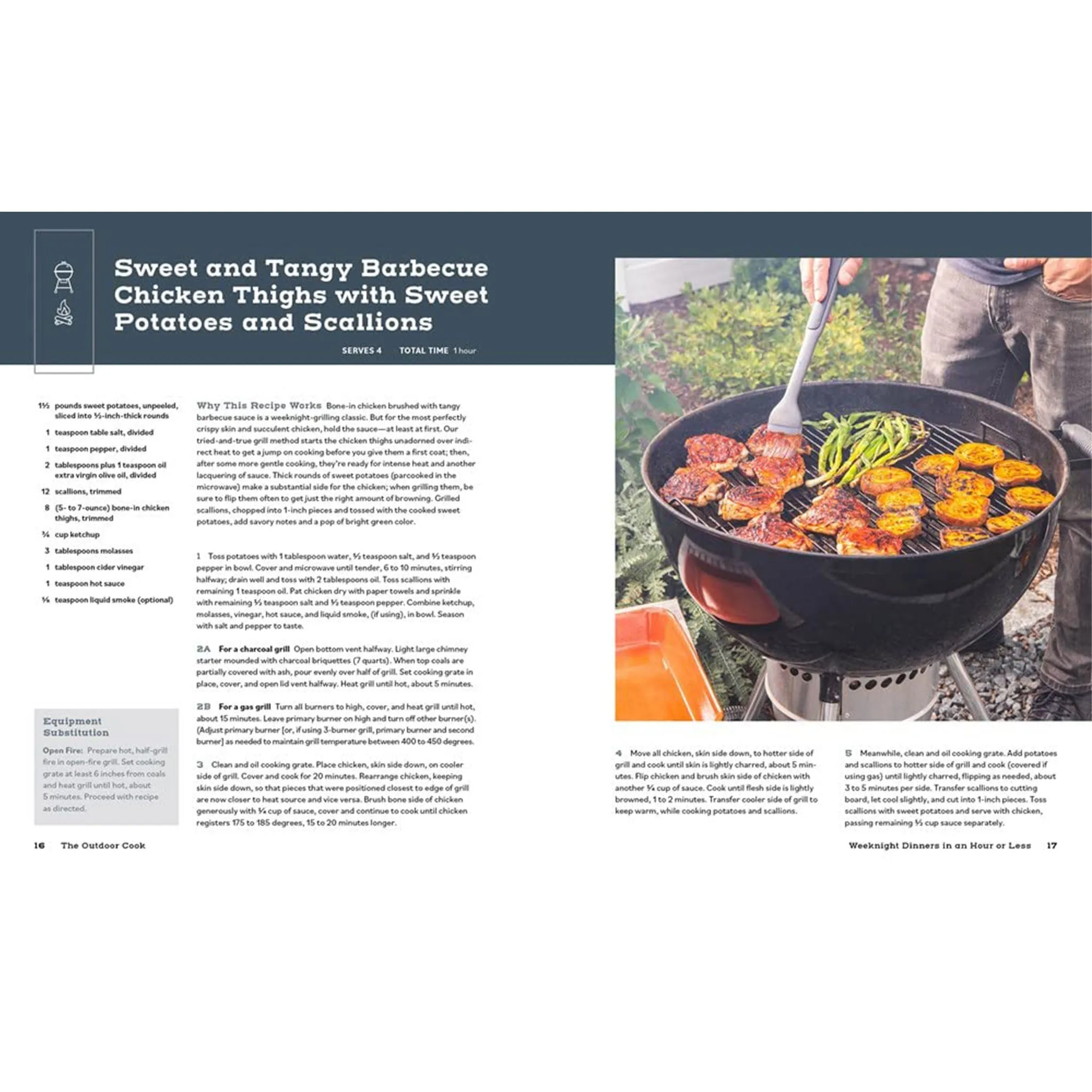 The Outdoor Cook: How to Cook Anything Outside Using Your Grill