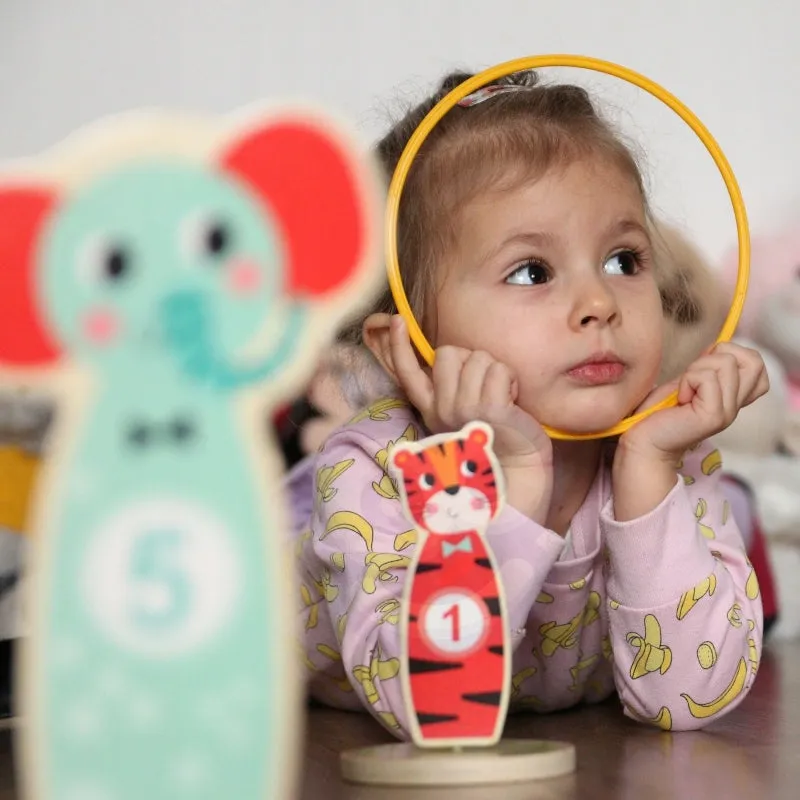 Tooky Toy Ring Toss Game