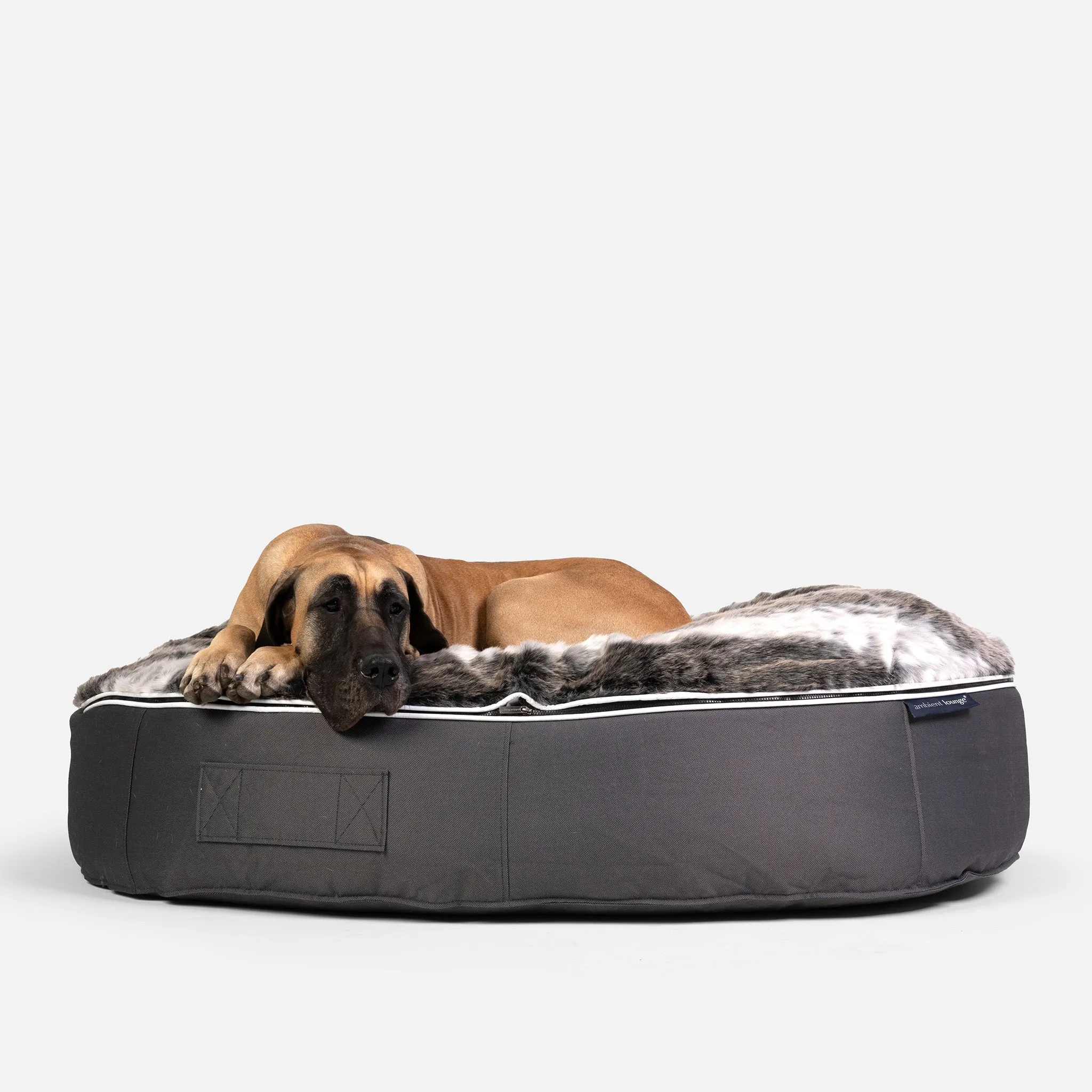 XXL Luxury Dog Bed - Interior/Outdoor