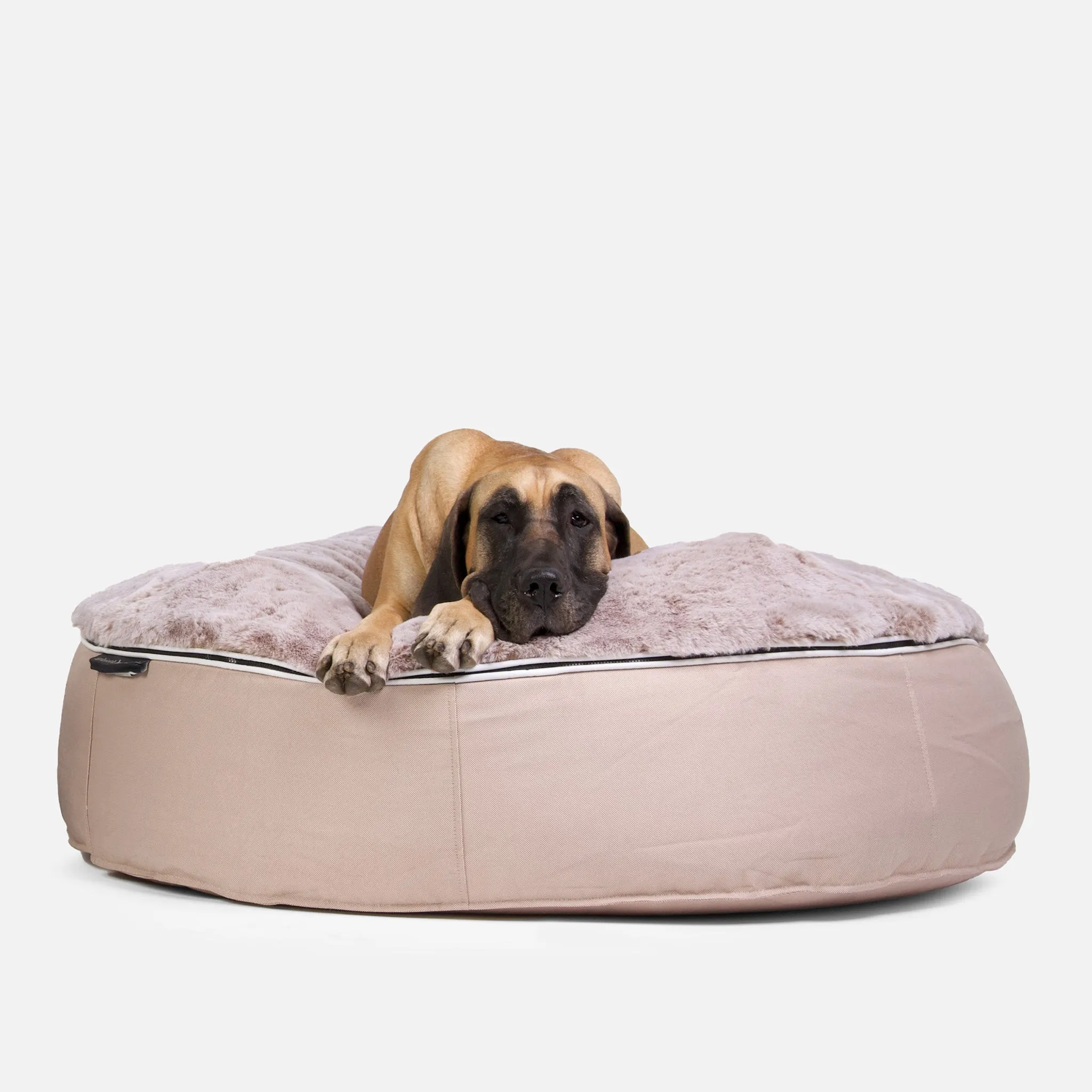 XXL Luxury Dog Bed - Interior/Outdoor