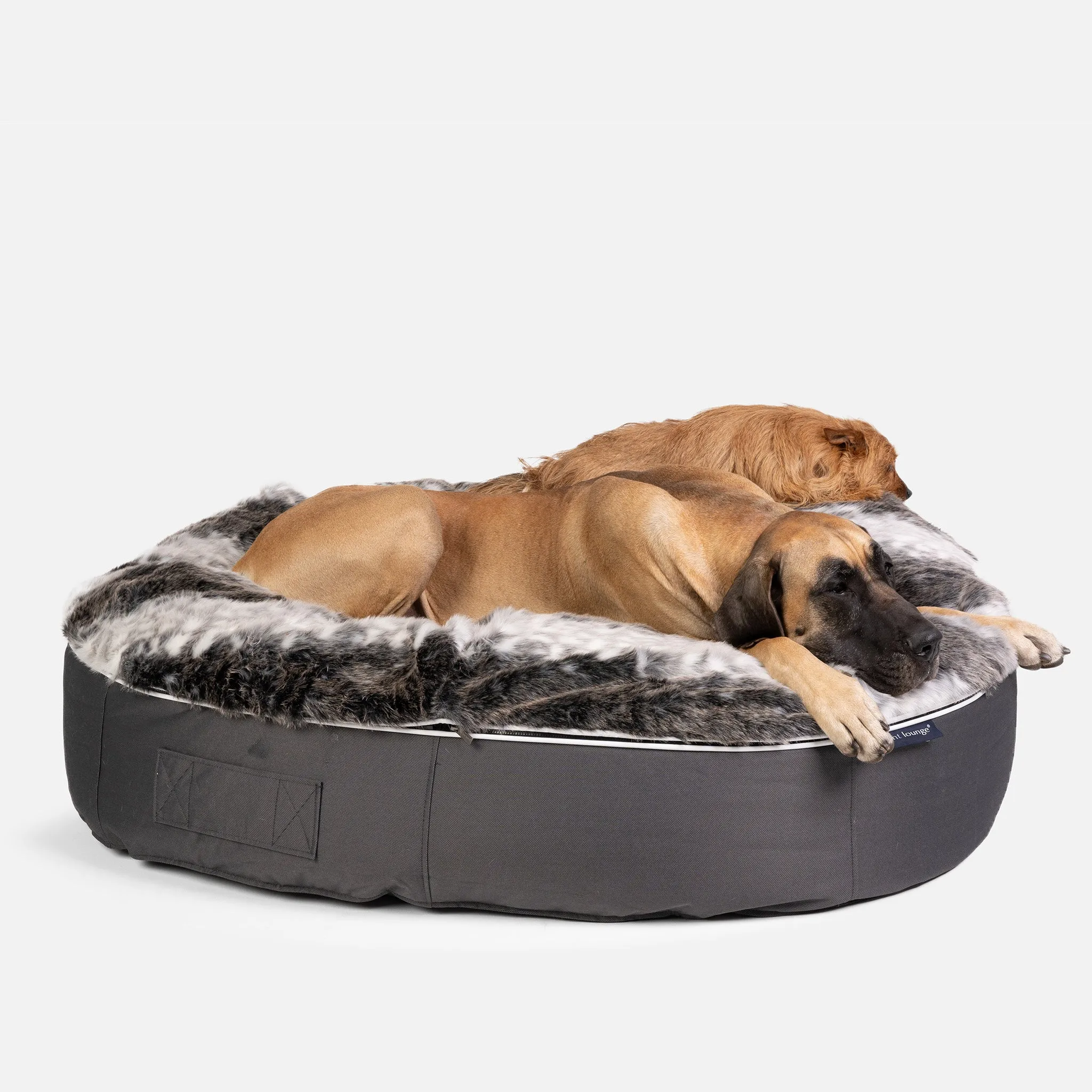 XXL Luxury Dog Bed - Interior/Outdoor