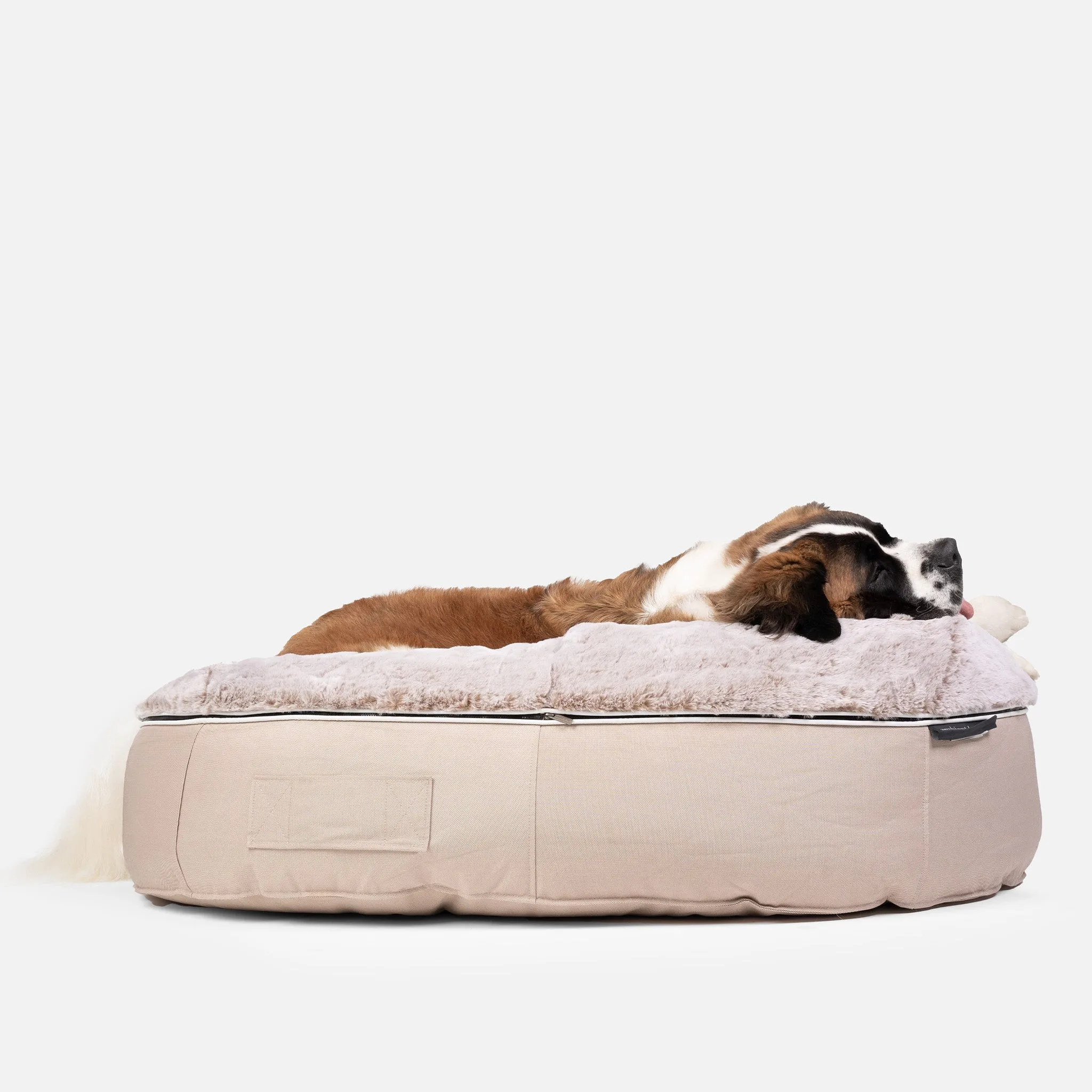 XXL Luxury Dog Bed - Interior/Outdoor