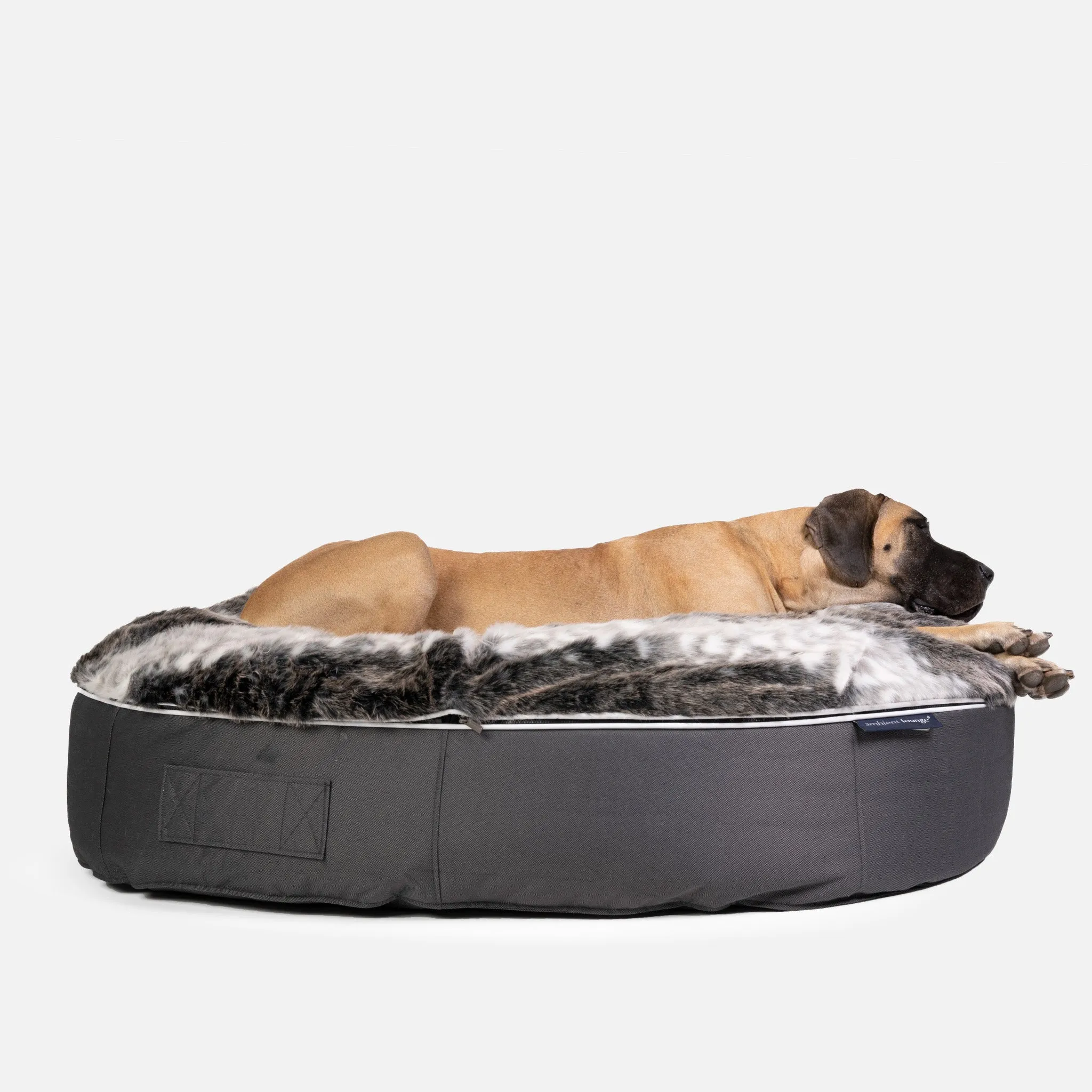 XXL Luxury Dog Bed - Interior/Outdoor