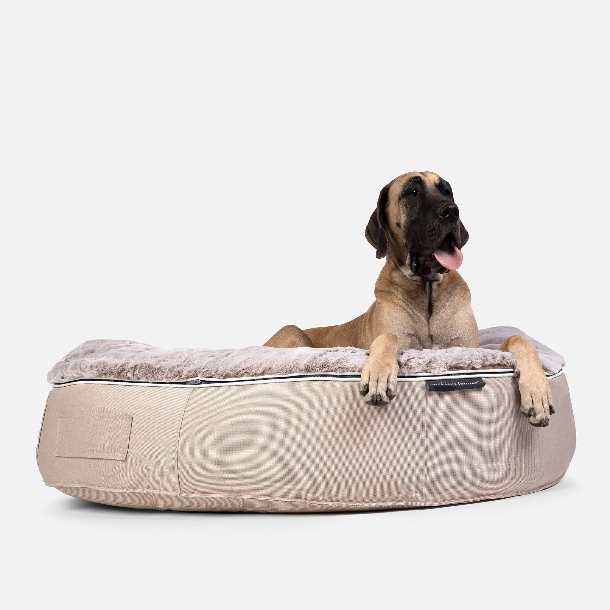 XXL Luxury Dog Bed - Interior/Outdoor