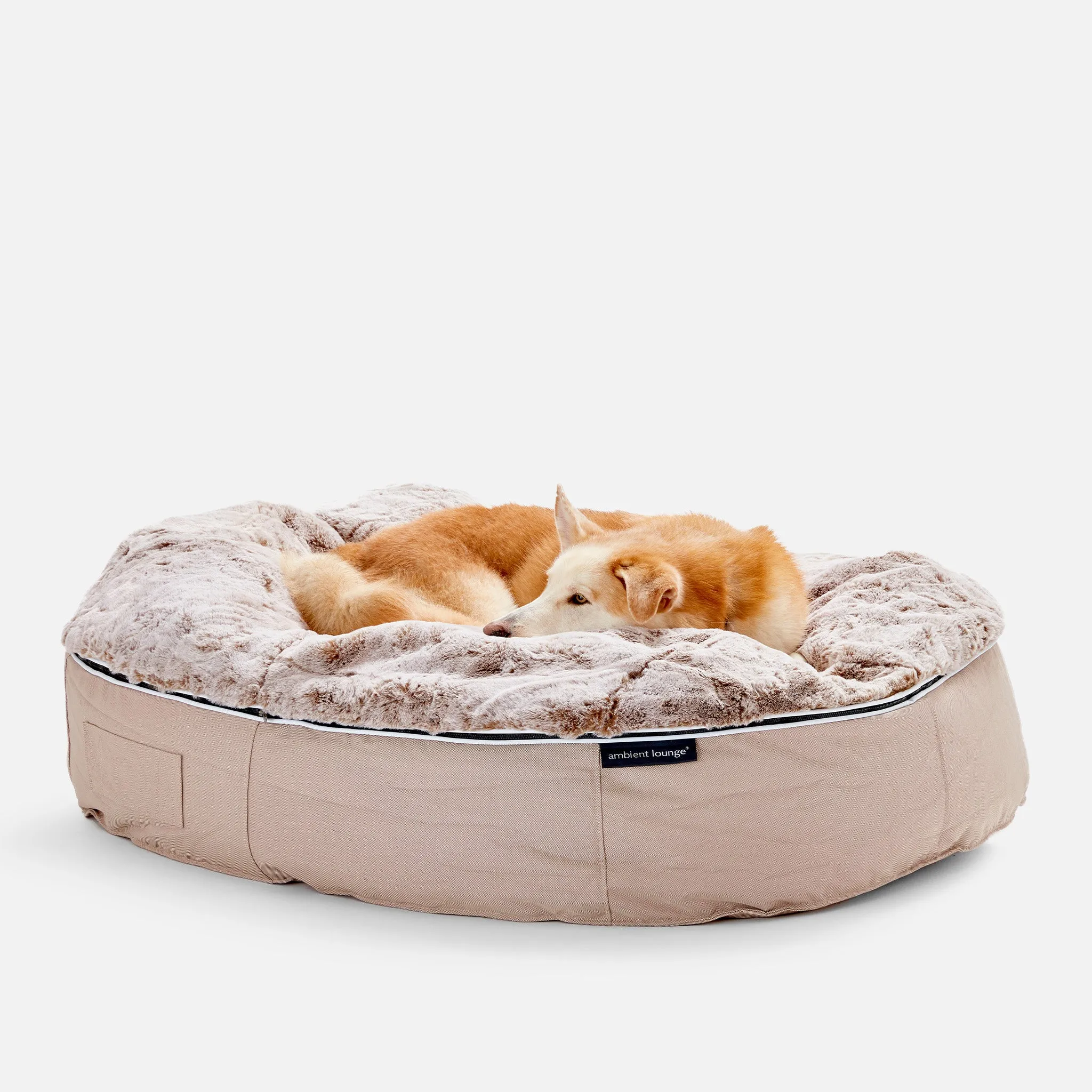 XXL Luxury Dog Bed - Interior/Outdoor