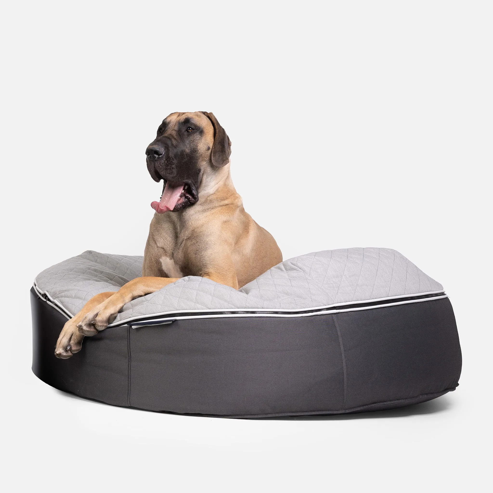 XXL Luxury Dog Bed - Interior/Outdoor