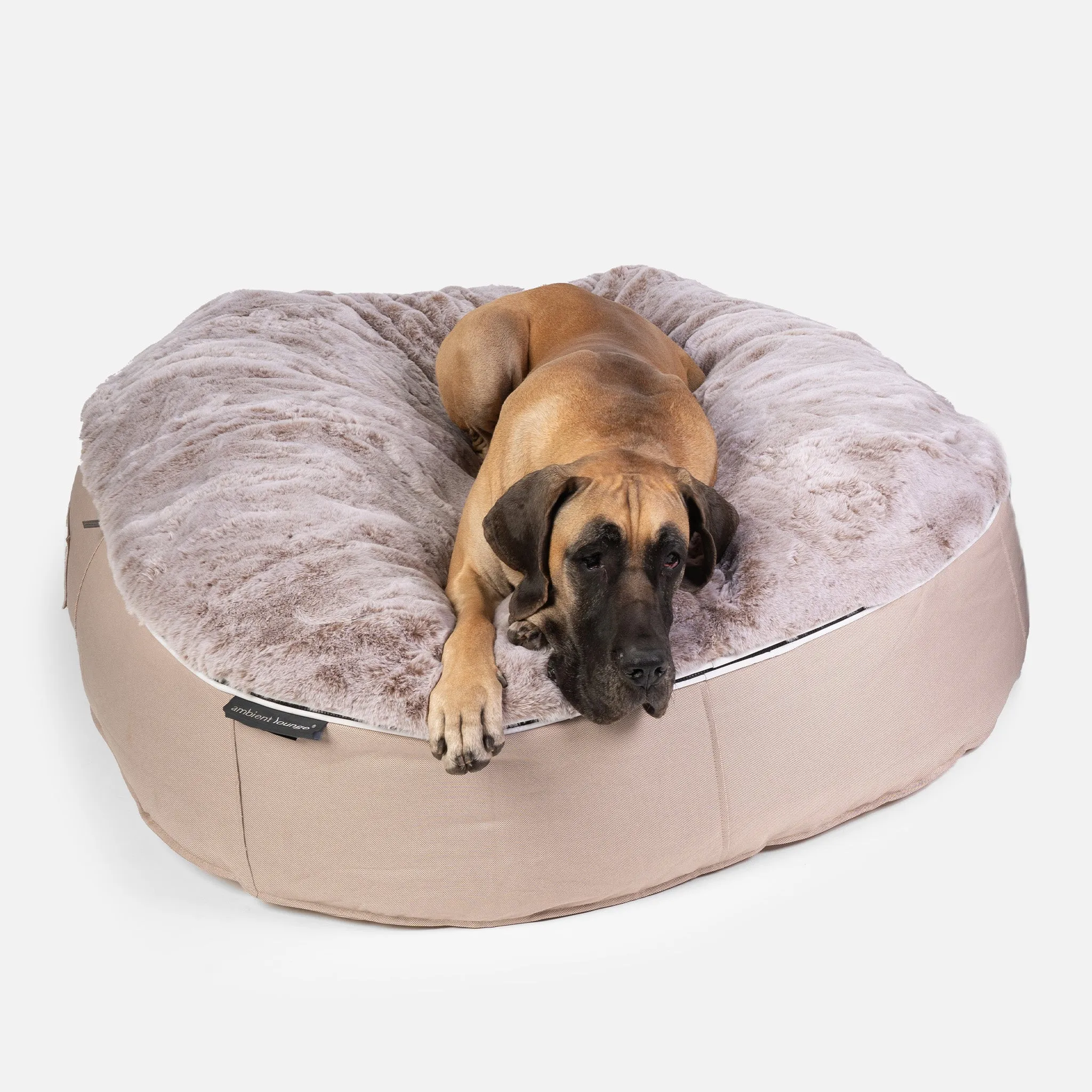 XXL Luxury Dog Bed - Interior/Outdoor