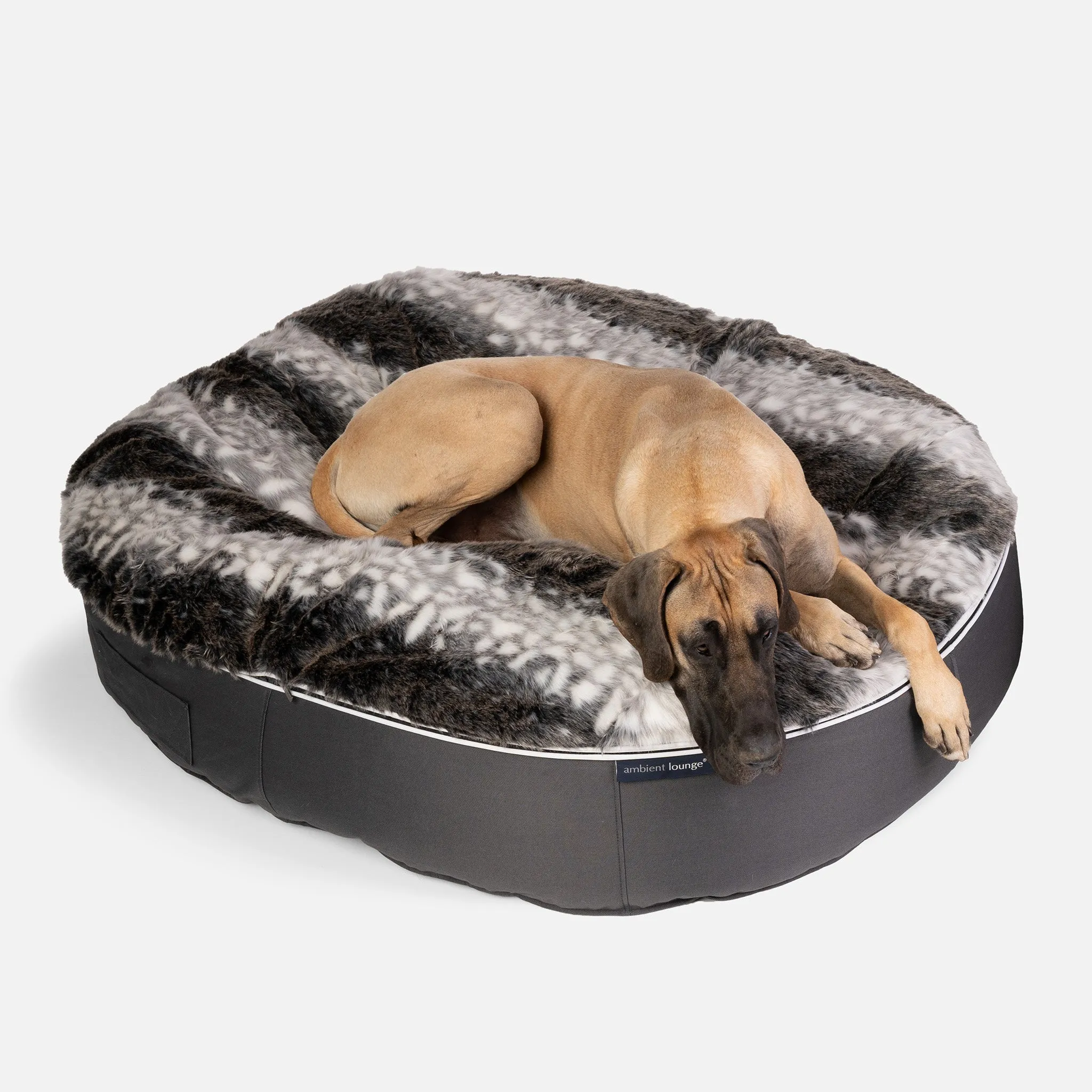 XXL Luxury Dog Bed - Interior/Outdoor