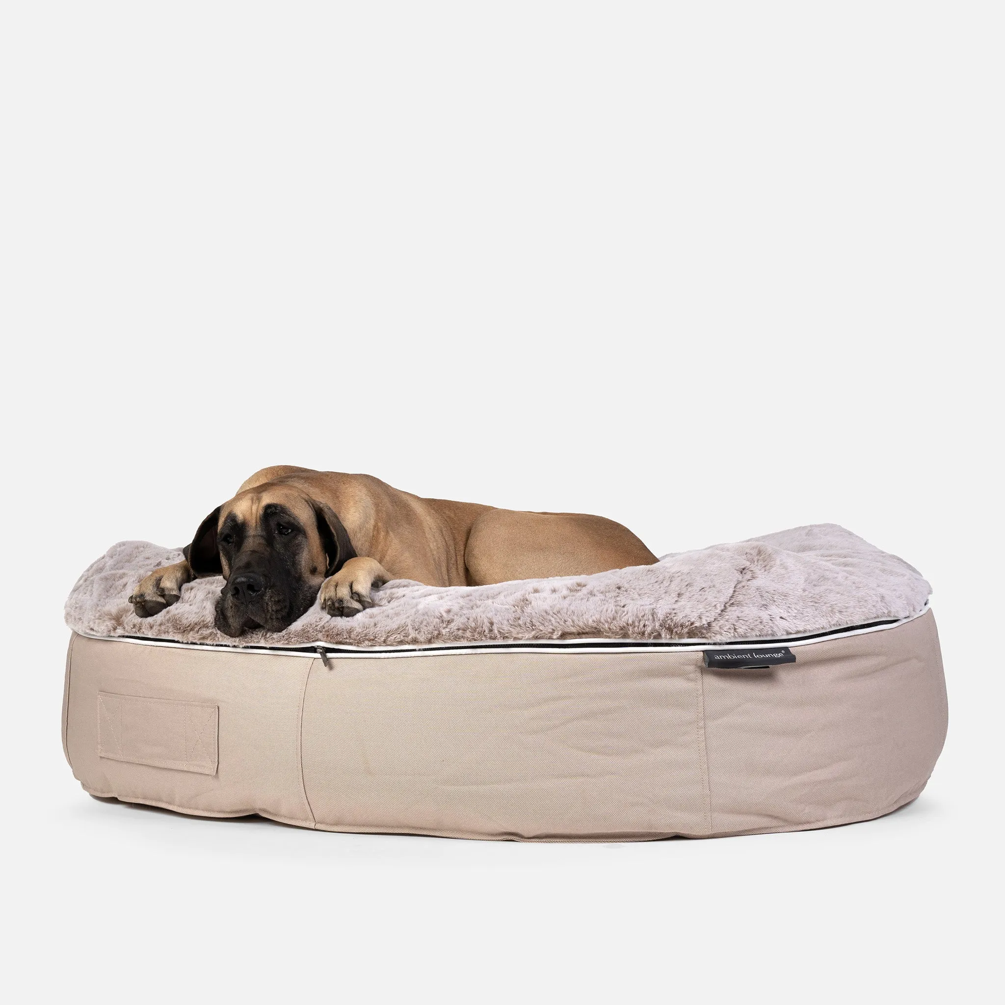 XXL Luxury Dog Bed - Interior/Outdoor