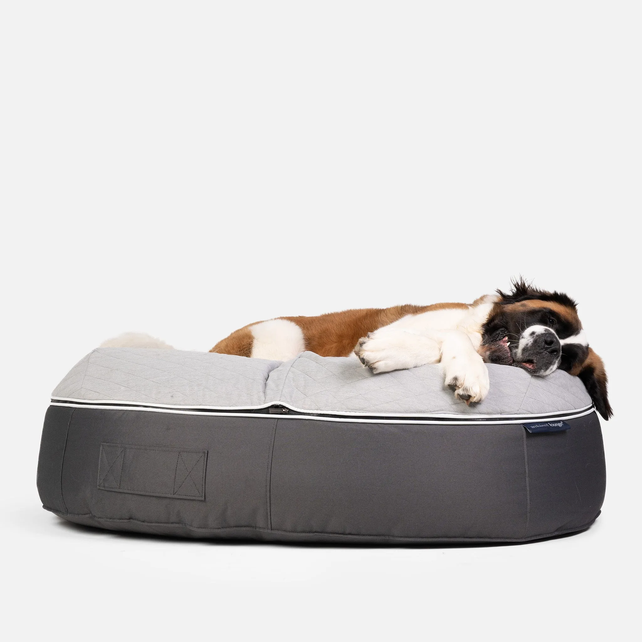 XXL Luxury Dog Bed - Interior/Outdoor