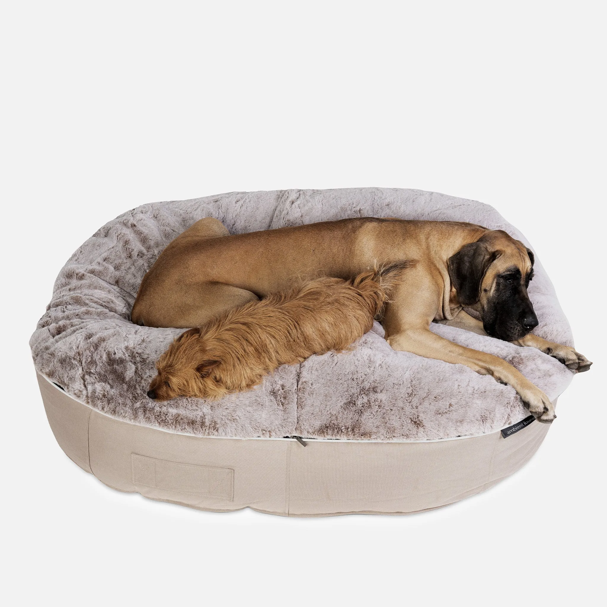 XXL Luxury Dog Bed - Interior/Outdoor