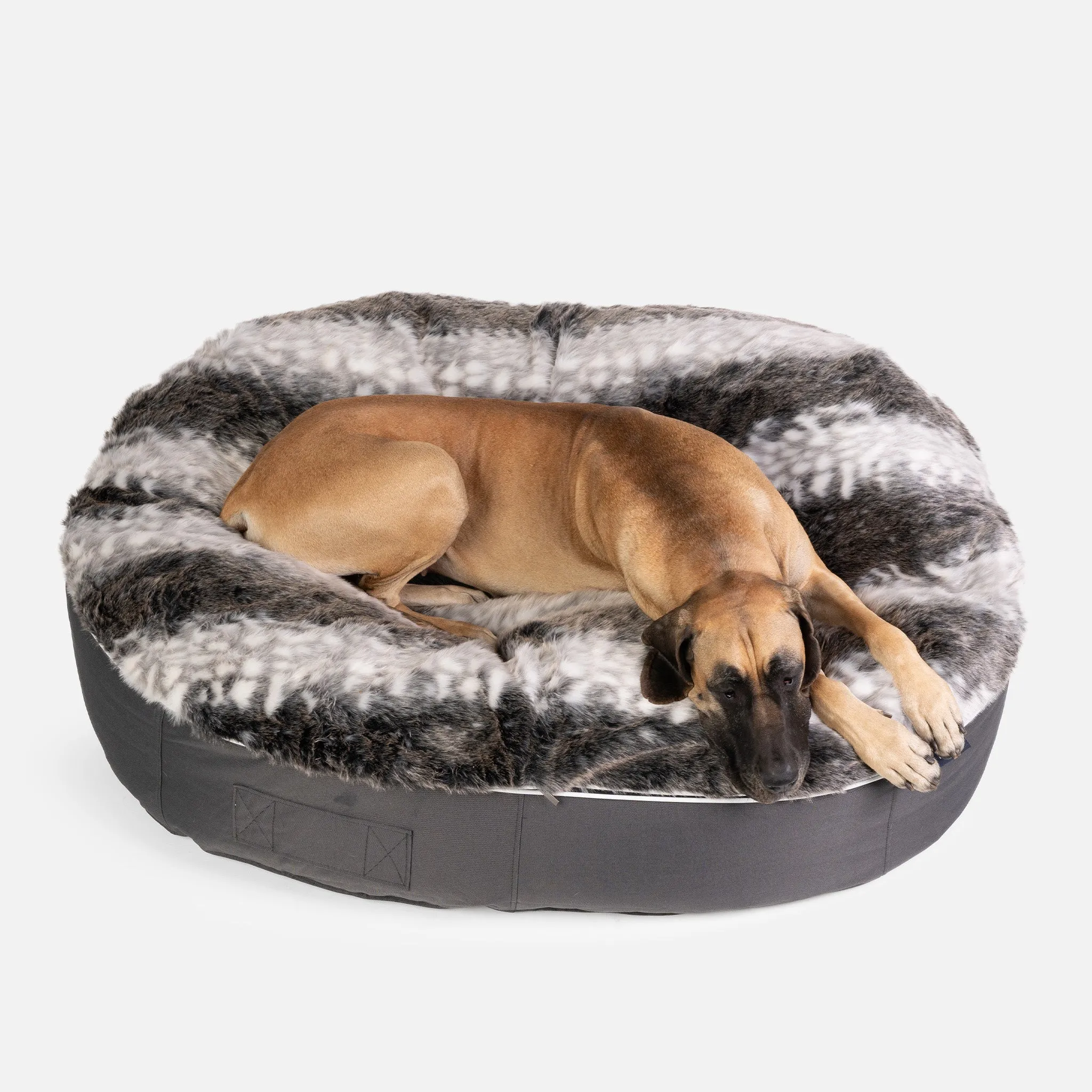 XXL Luxury Dog Bed - Interior/Outdoor