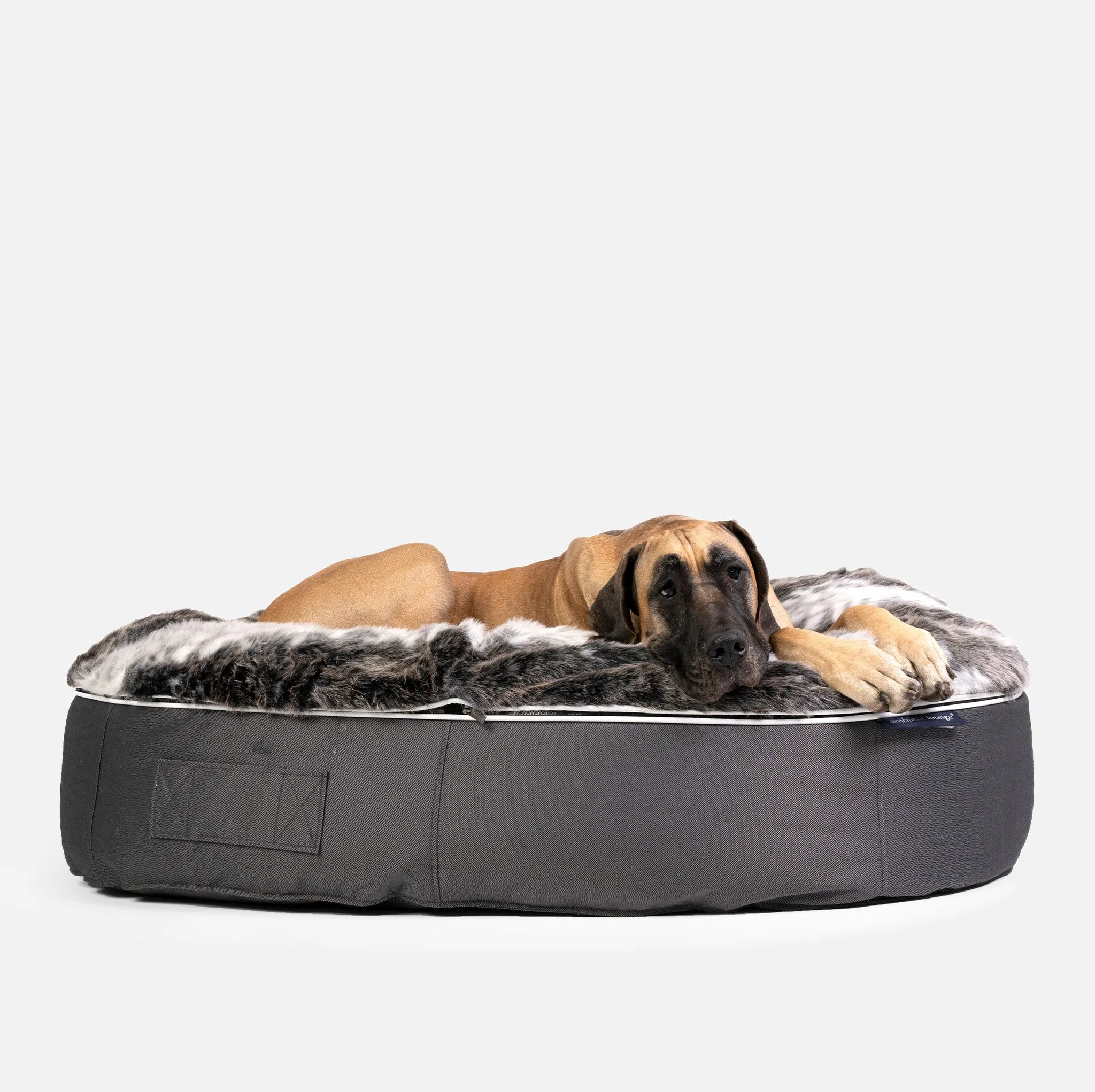 XXL Luxury Dog Bed - Interior/Outdoor