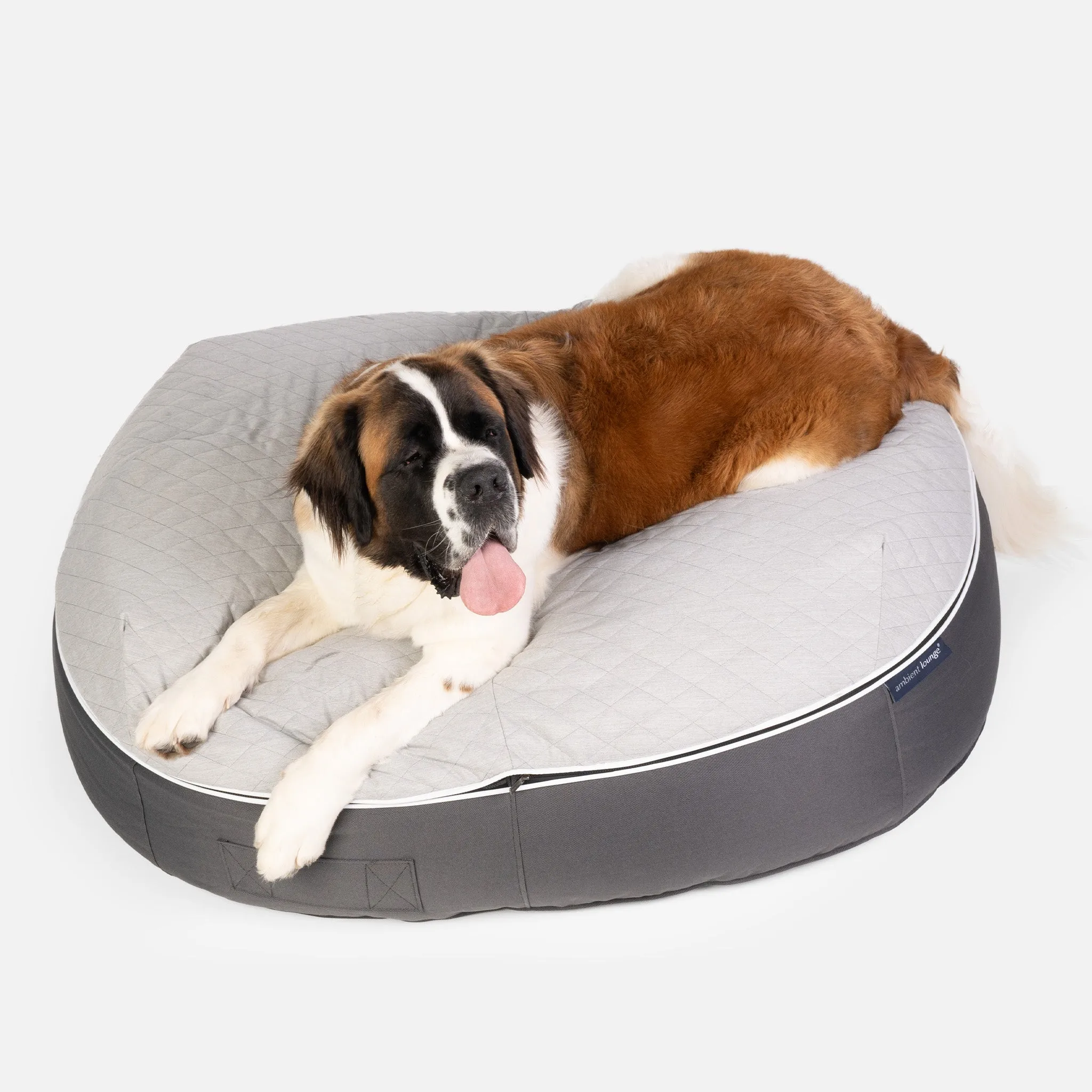 XXL Luxury Dog Bed - Interior/Outdoor